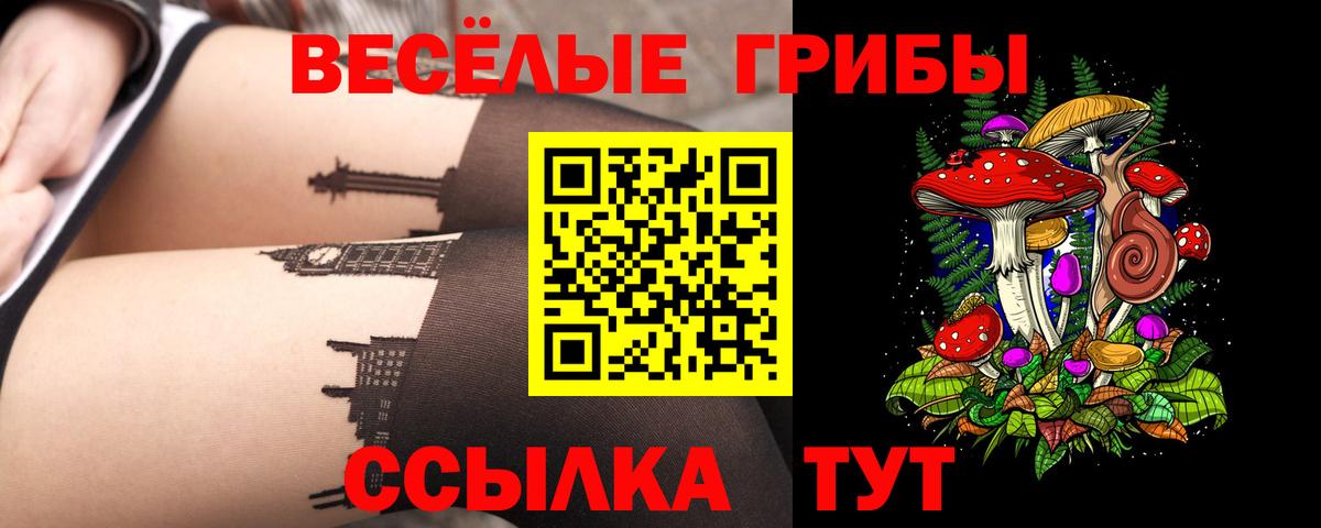 Псилоцибиновые грибы Psilocybe  Псилоцибиновые грибы прущие грибы  Полевской  Вход с VPN 