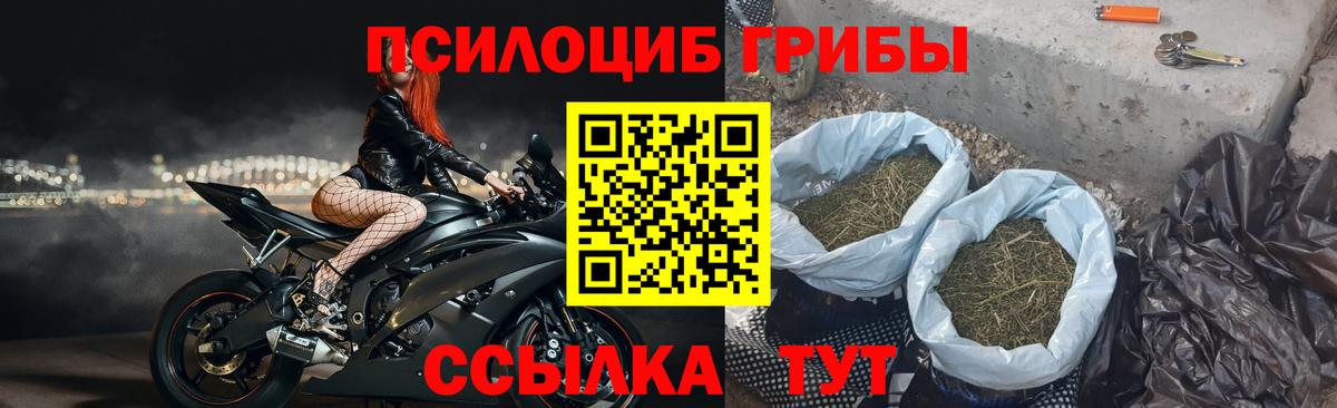 Галлюциногенные грибы прущие грибы Полевской